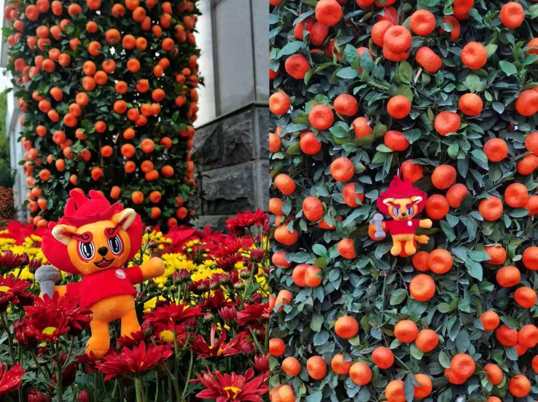 cf39611aa1b04e8abc029fc786e74c12.jpeg cf39611aa1b04e8abc029fc786e74c12.jpeg