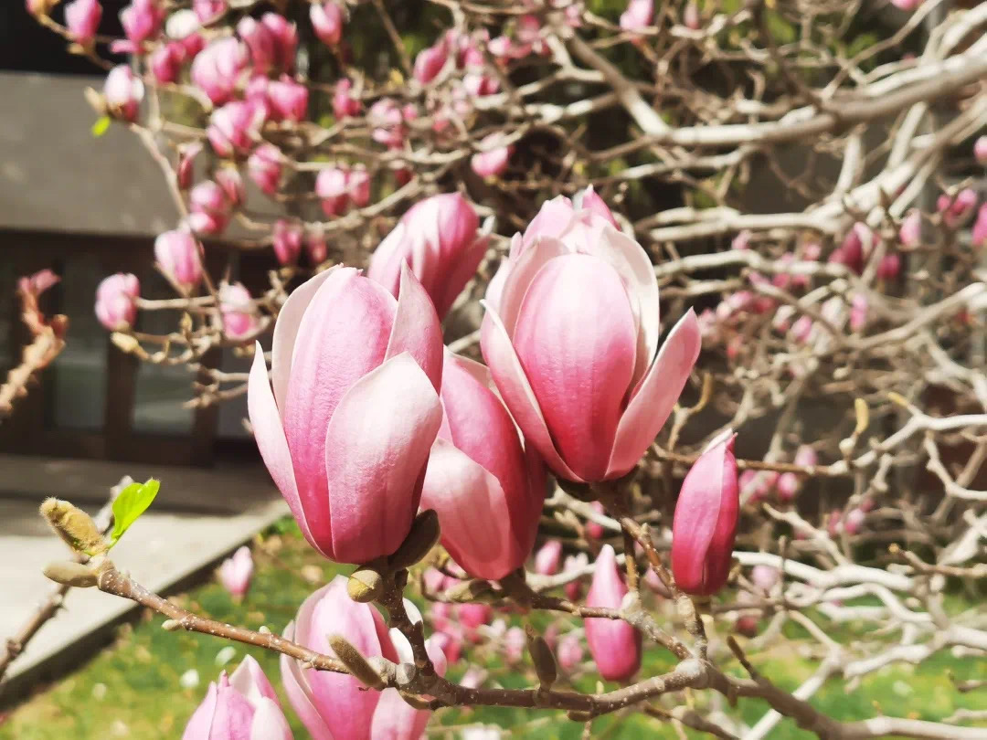 a20b2a3466304992a901cb44e36b9084.jpeg a20b2a3466304992a901cb44e36b9084.jpeg