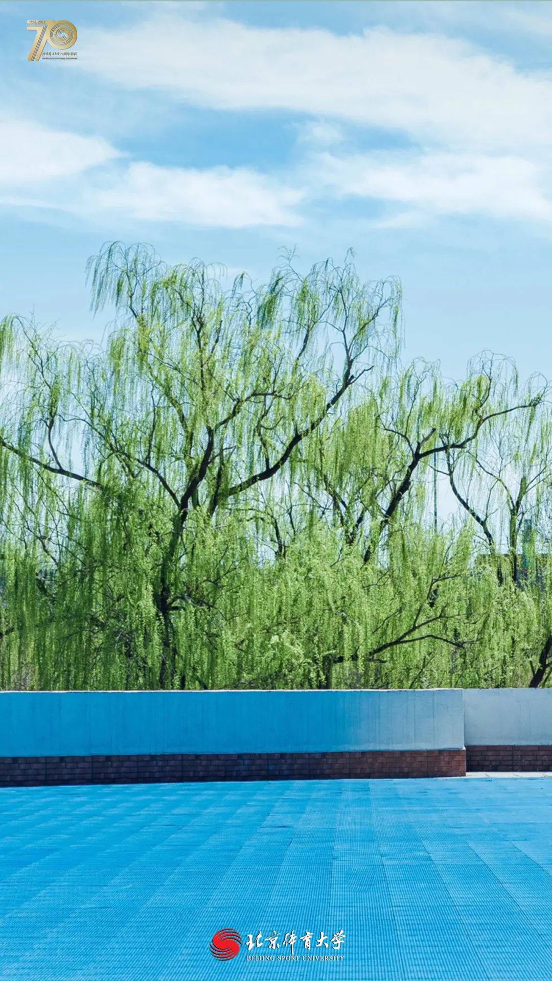 fbd581df54ee4adc89b7e79b6a3cc158.jpg fbd581df54ee4adc89b7e79b6a3cc158.jpg