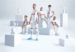 DB真人体育-托特纳姆训练开放日，关键时刻迎来里程碑引欢呼，意大利杯在即，资深球员宣示担当