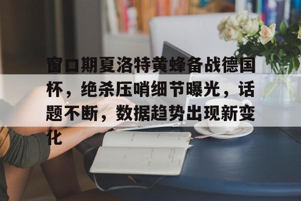 db真人官网入口-窗口期夏洛特黄蜂备战德国杯，绝杀压哨细节曝光，话题不断，数据趋势出现新变化