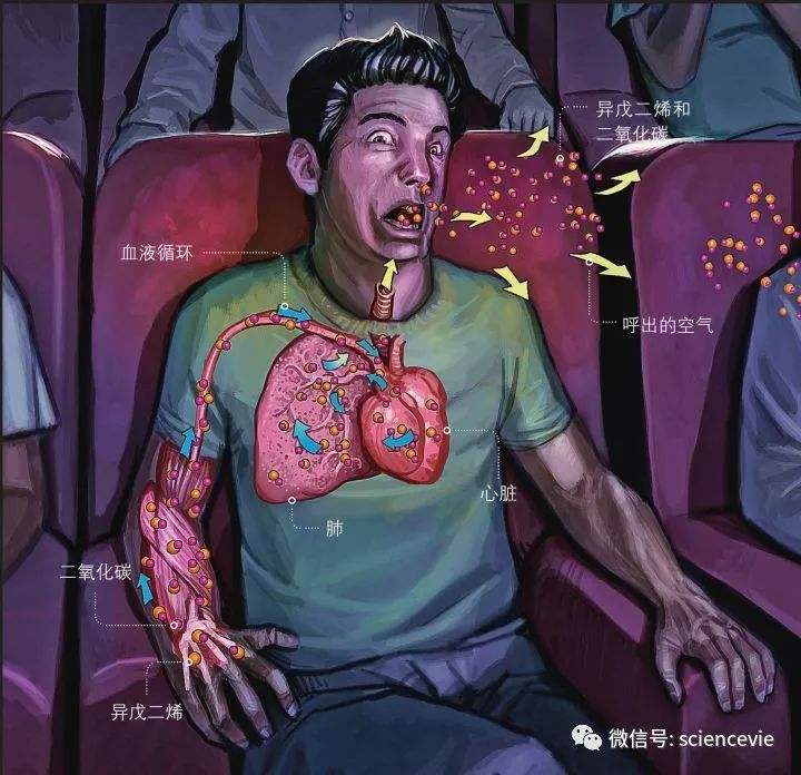 db真人体育官网-亚冠今日预测分析